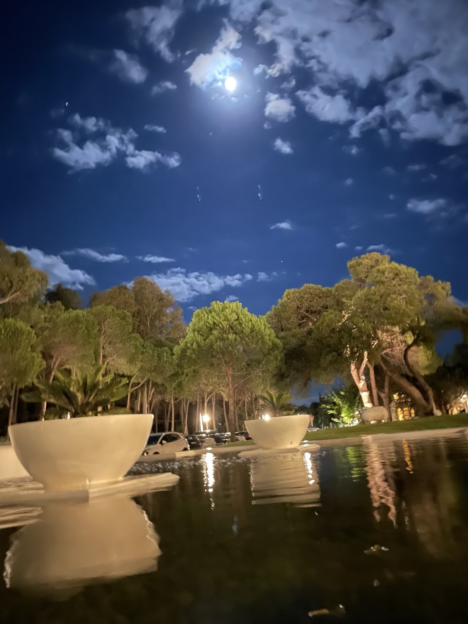 photo_2025-10-14 09.08.18