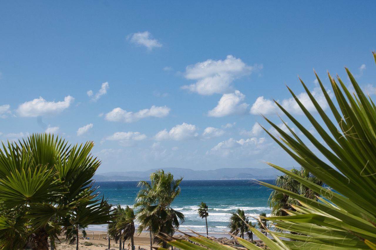 photo_2025-10-14 09.24.09