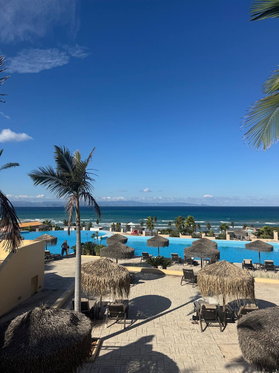 photo_2025-10-14 09.35.21