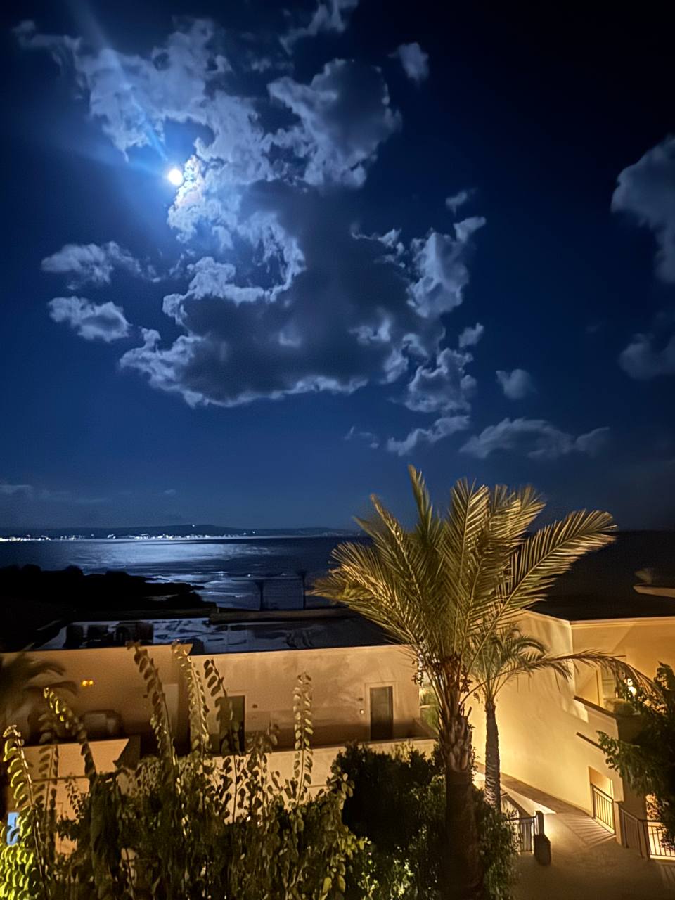 photo_2025-10-14 09.35.22